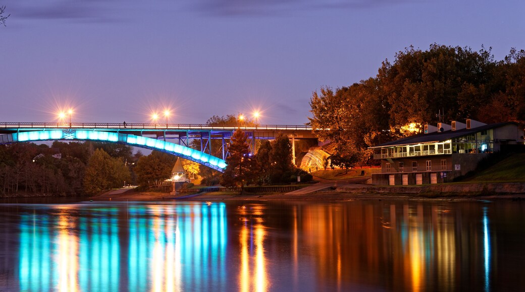 Un puente con luces azules reflejadas en el agua, rodeado de árboles y un edificio.