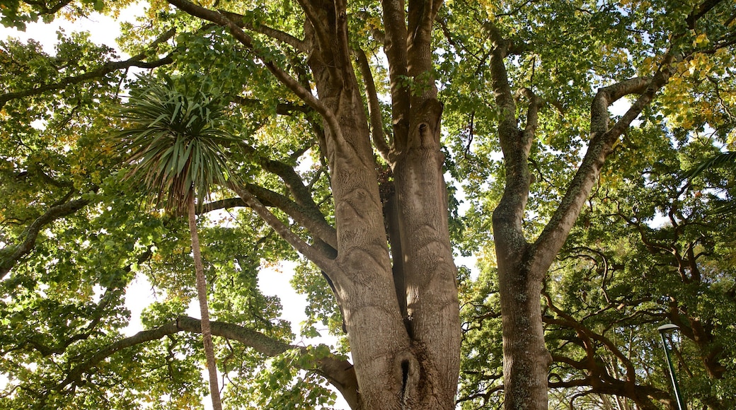 Hamilton showing a park