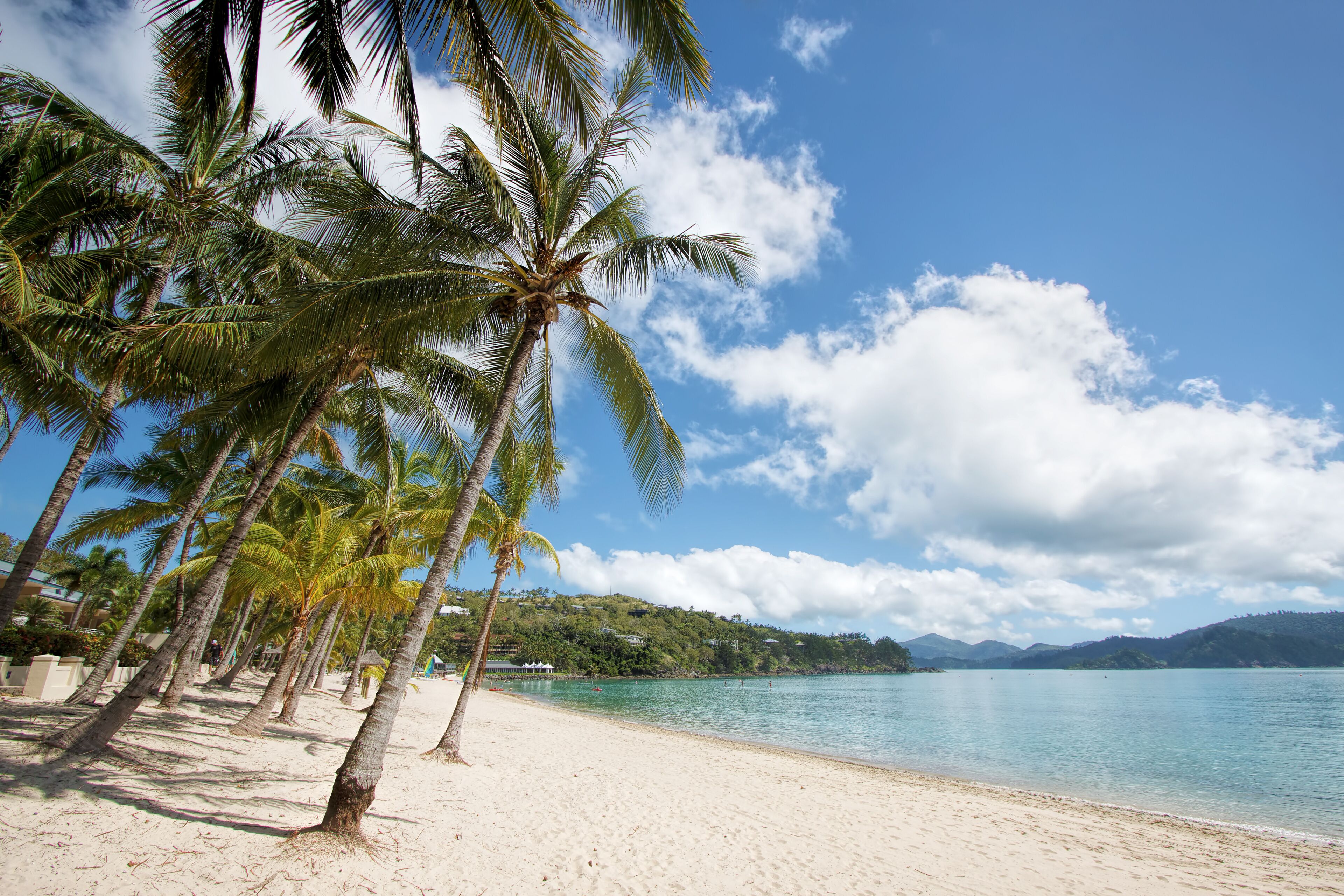 A beach with palm trees, clear blue water, and distant mountains.