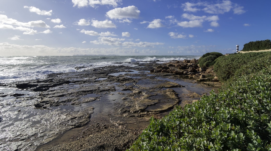 Spain, Balearic Islands, Mallorca, Colonia de Sant Jordi, coast and light house; Shutterstock ID 434270911