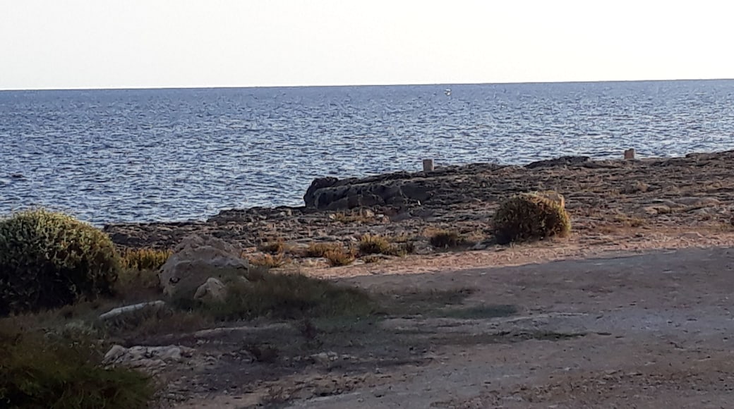 Strand bei Colònia de Sant Jordi in Mallorca.