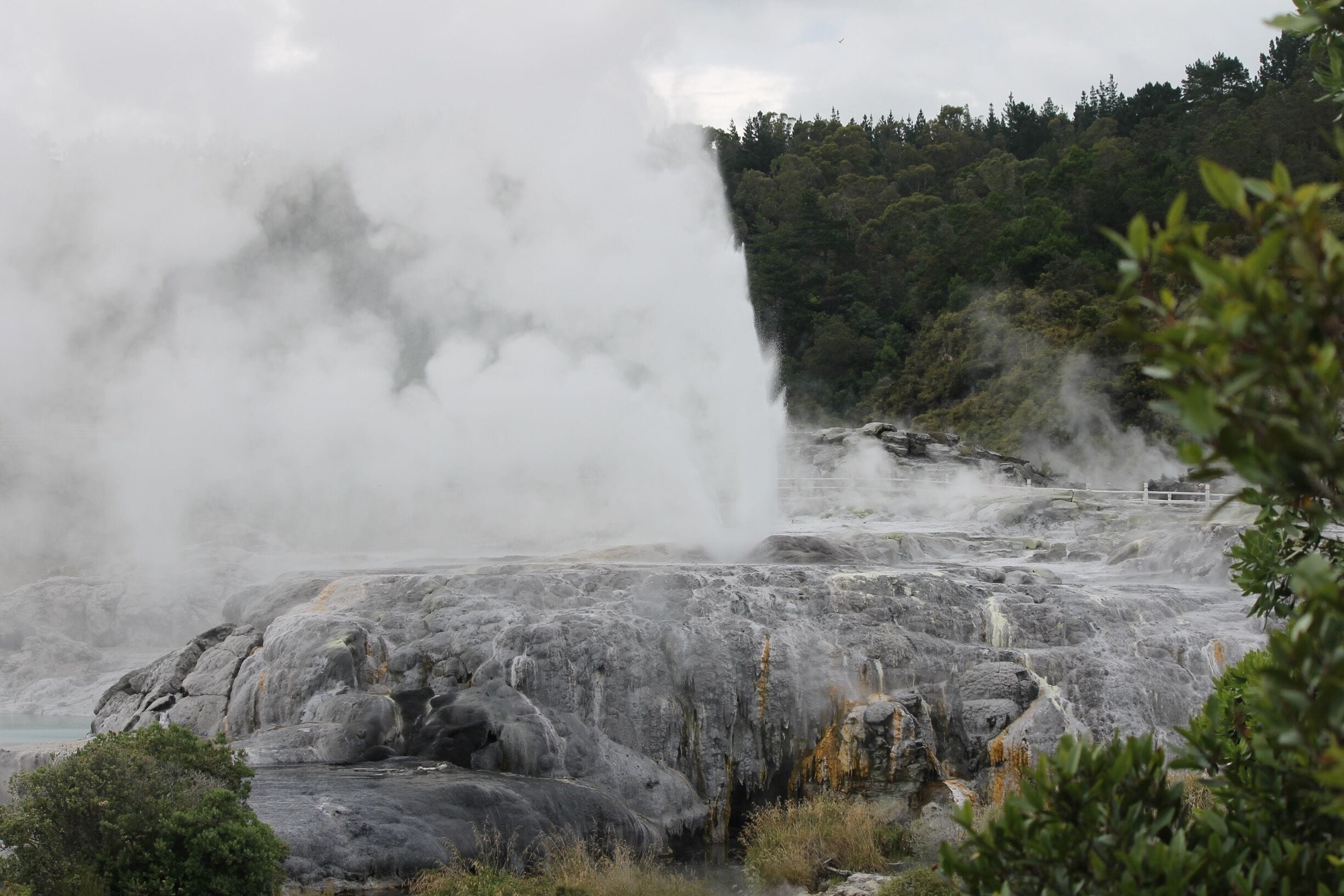 Great park, also includes a school for traditional wood carving and weaving