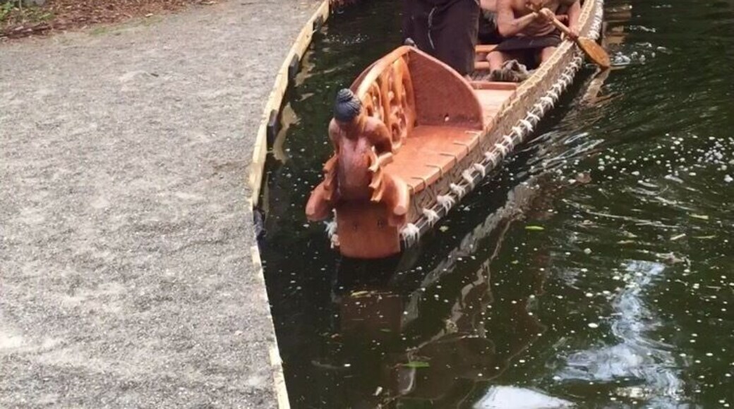 This show was awesome! After the initiation you are welcomed into the village and go threw different stations learning about the culture and then you get a performance show and dinner. Definitely recommend and reservations book way out, so book early! And tip: ask for Mark to be your driver... Seriously I can't remember the last time I laughed so hard