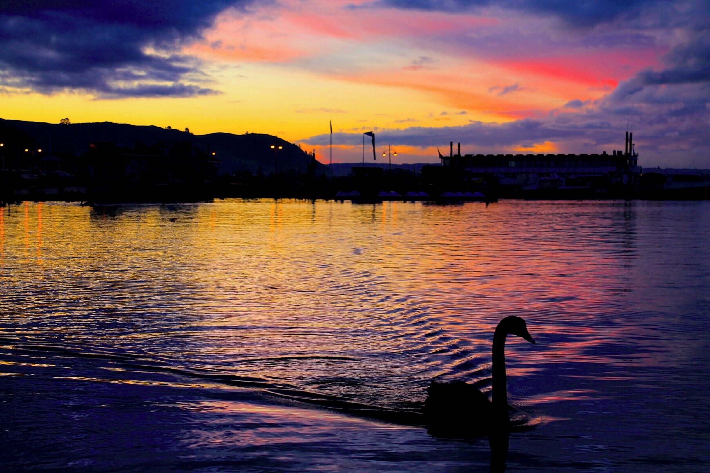 #colorful #swan #katefromthestates #rotorua #newzealand

My friend and I were driving back from a long day of exploration when the pastel sunset started to be overtaken by storm clouds. 

We were shocked at the beauty that surrounded us because one could easily say that we didn't have very good weather in Rotorua -  I'd have to disagree. Even though the days were grey and cloudy, each night was just as serene as this!