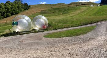 ZORBING!!! A MUST DO while in New Zealand. OMG sooooo much fun! In the heat definitely do the wet option. I laughed so hard the entire time and for about 10-15min post ride. Seriously, we need this near where I live. AWESOME!!!