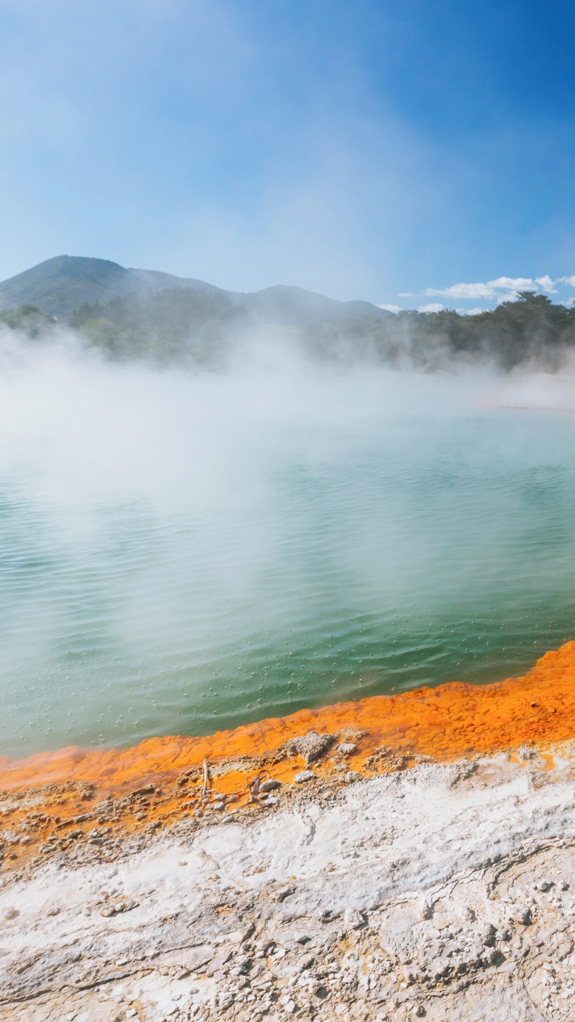 Vibrant colors and steam rise from the geothermal features of Wai-O-Tapu Thermal Wonderland in New Zealand's Waikato region
