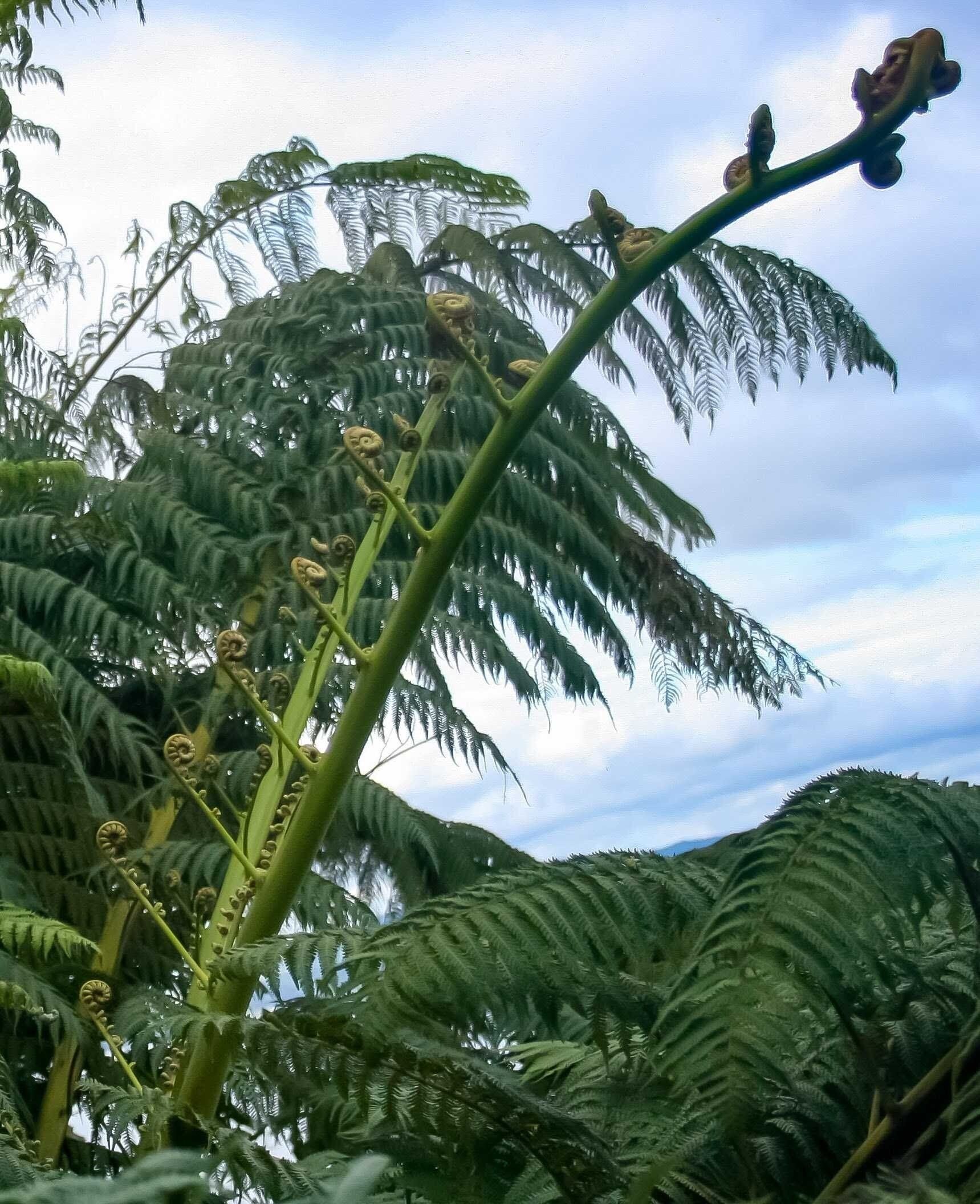 At the top of the summit