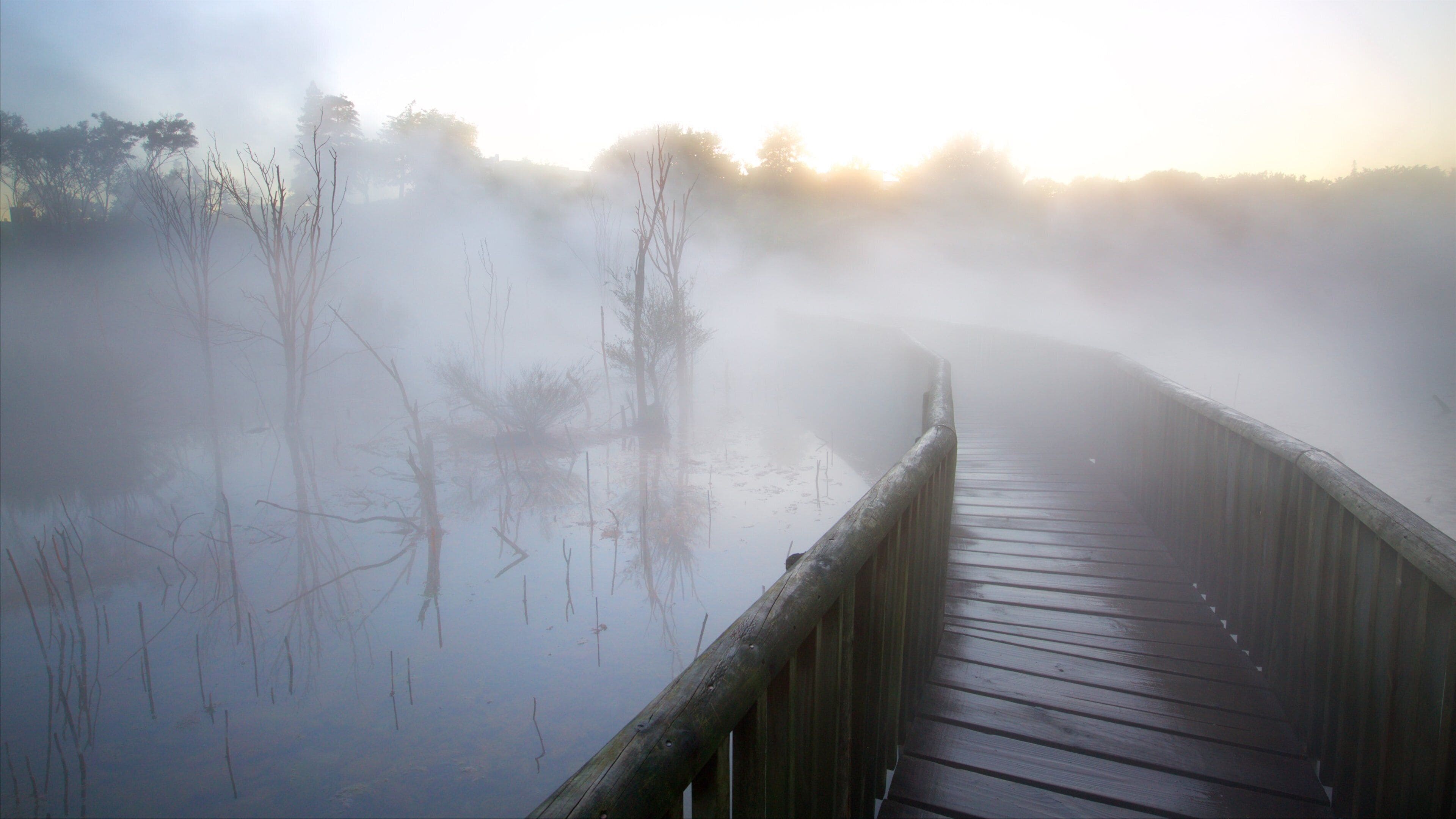 Rotorua fasiliteter samt elv eller bekk, tåke og bro