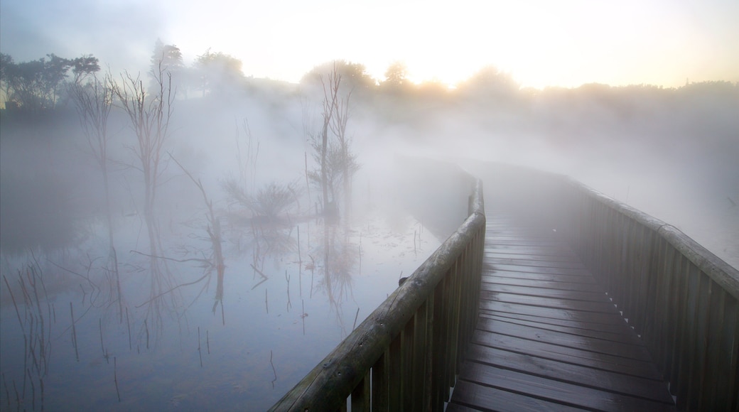Rotorua fasiliteter samt elv eller bekk, tåke og bro