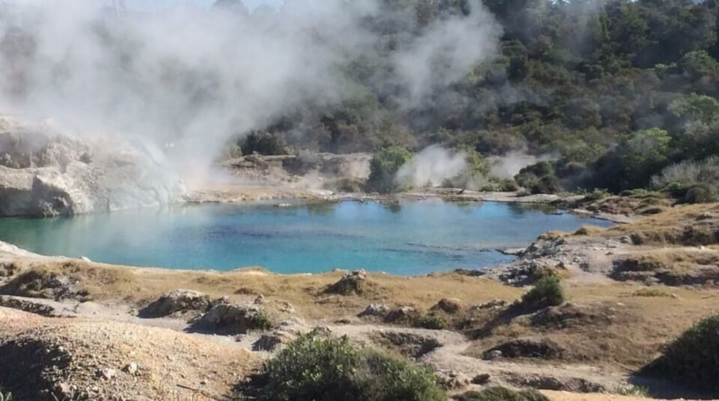 This is a geothermal area in Rotorua. The local guide took us to the Maori village where we watched the traditional dance including haka. This place is so beautiful it's worth it driving 3 hours from Auckland