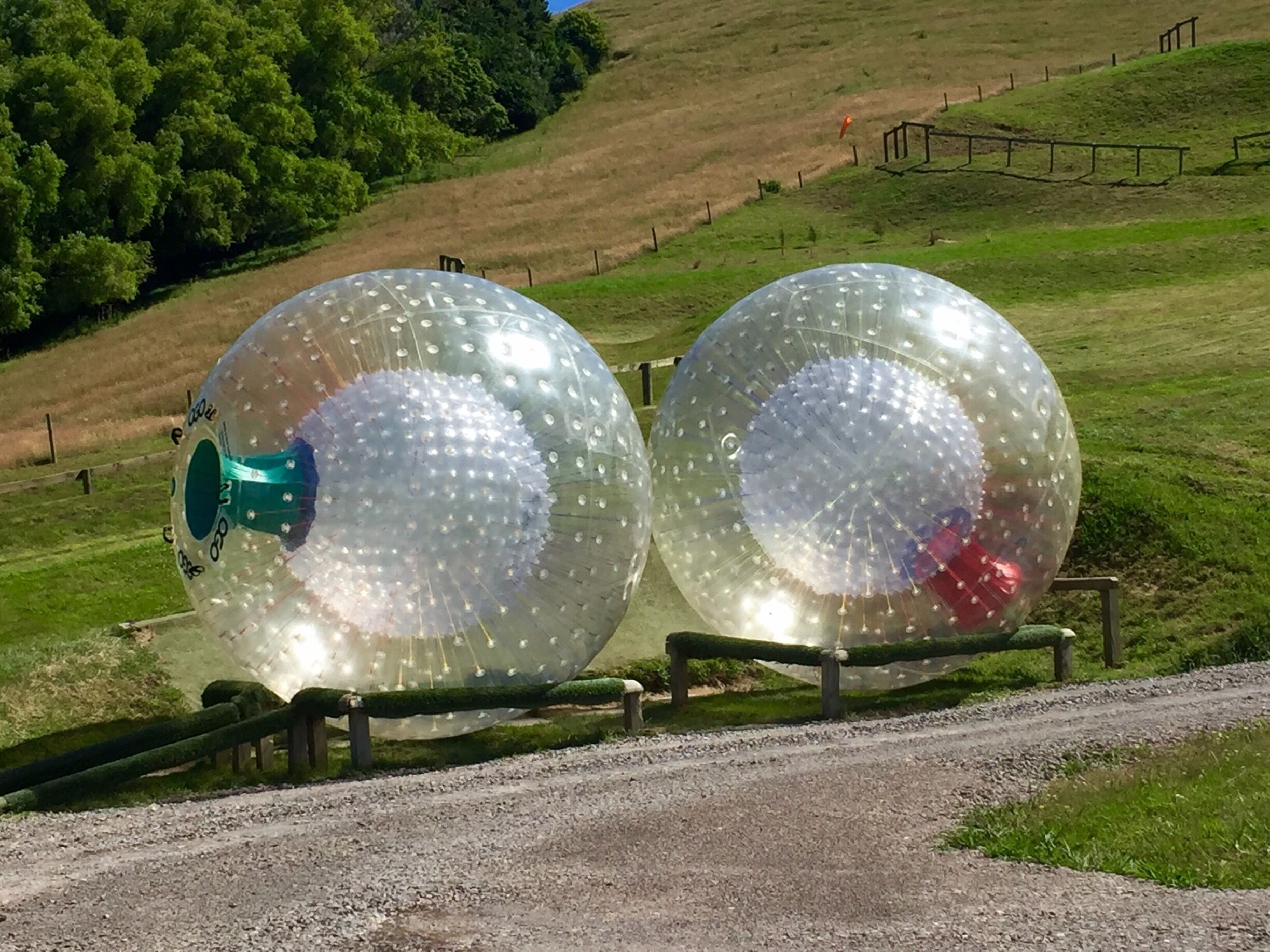 ZORBING!!! A MUST DO while in New Zealand. OMG sooooo much fun! In the heat definitely do the wet option. I laughed so hard the entire time and for about 10-15min post ride. Seriously, we need this near where I live. AWESOME!!! 