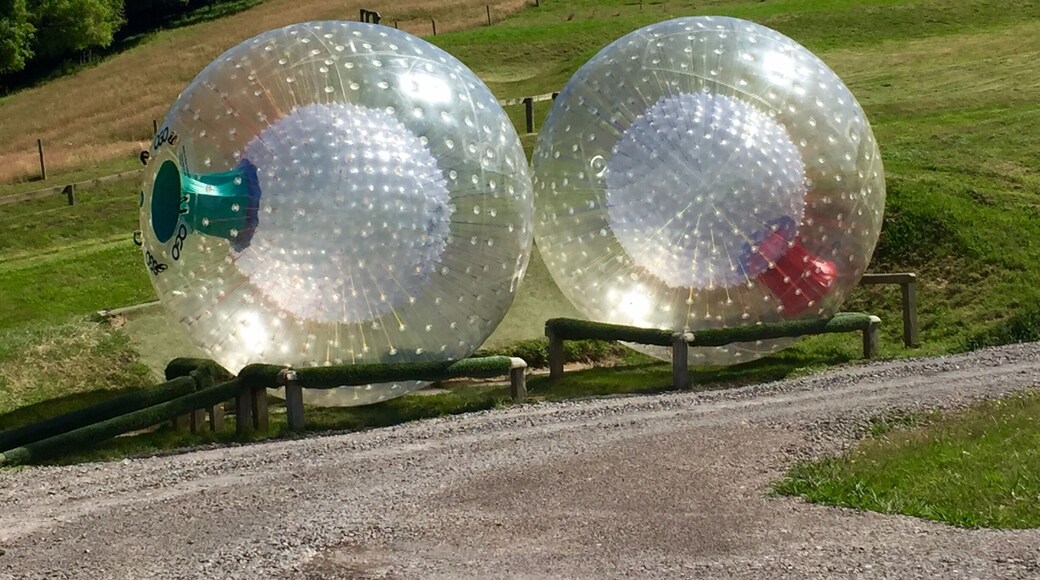 ZORBING!!! A MUST DO while in New Zealand. OMG sooooo much fun! In the heat definitely do the wet option. I laughed so hard the entire time and for about 10-15min post ride. Seriously, we need this near where I live. AWESOME!!!