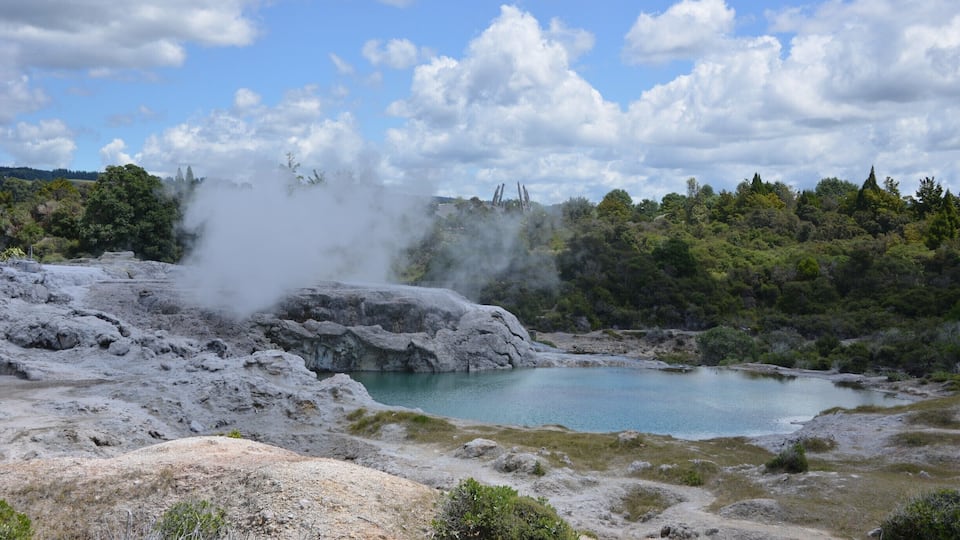 Amazing sight, the hot springs in this traditional Maori village. Very smelly!