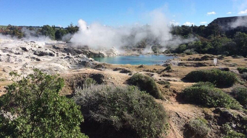 Love this place, is a must go in Rotorua