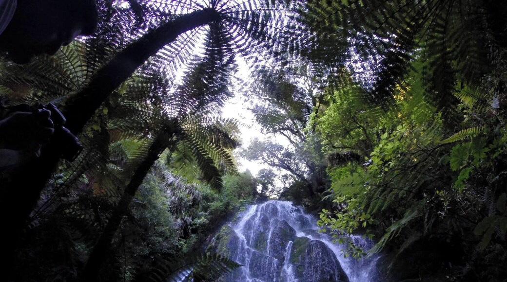 Best hidden waterfall this side of the Mississippi