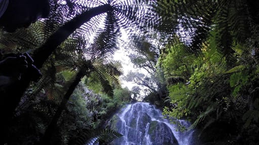 Best hidden waterfall this side of the Mississippi