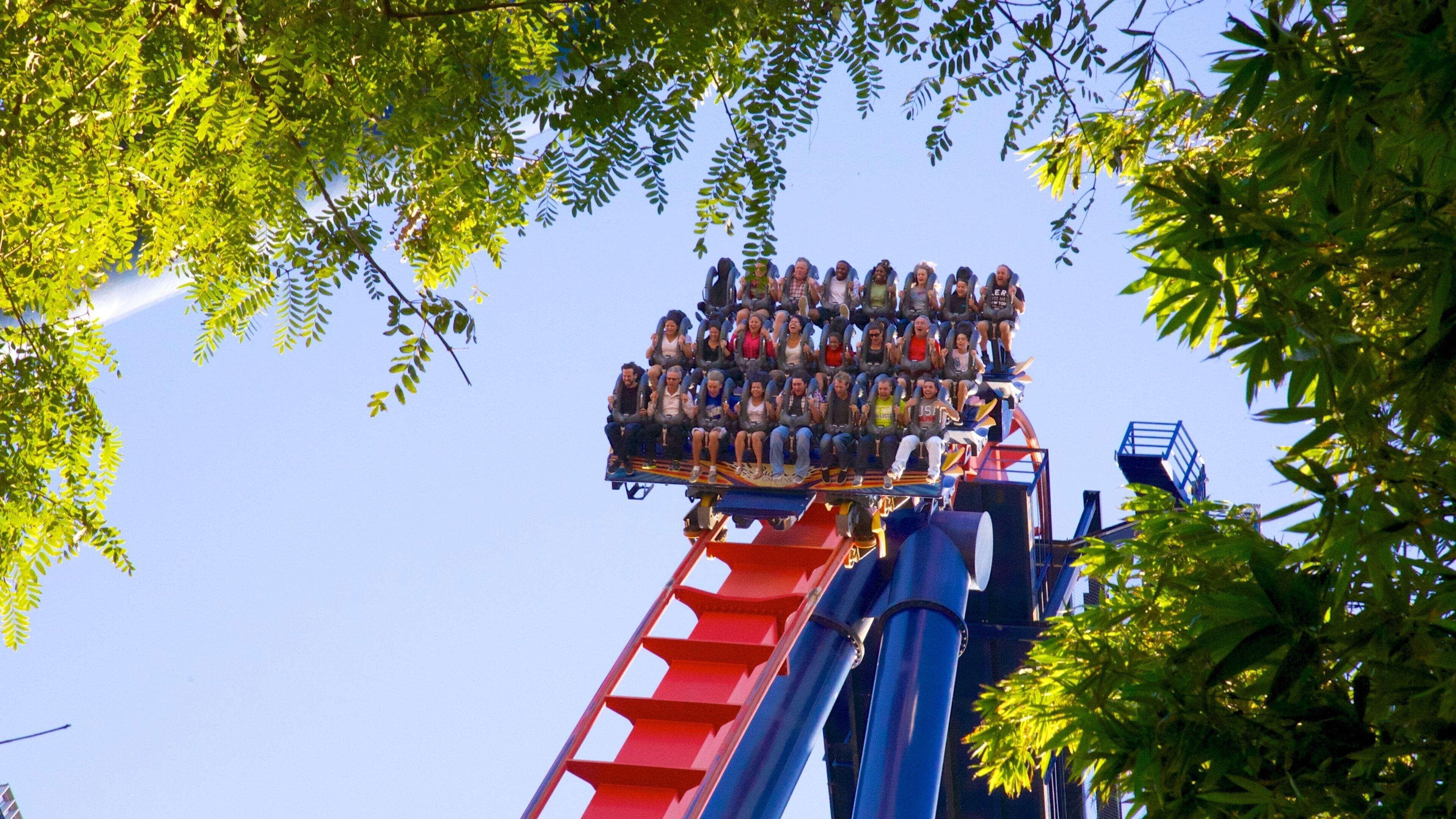 A roller coaster with passengers at the top, surrounded by trees.