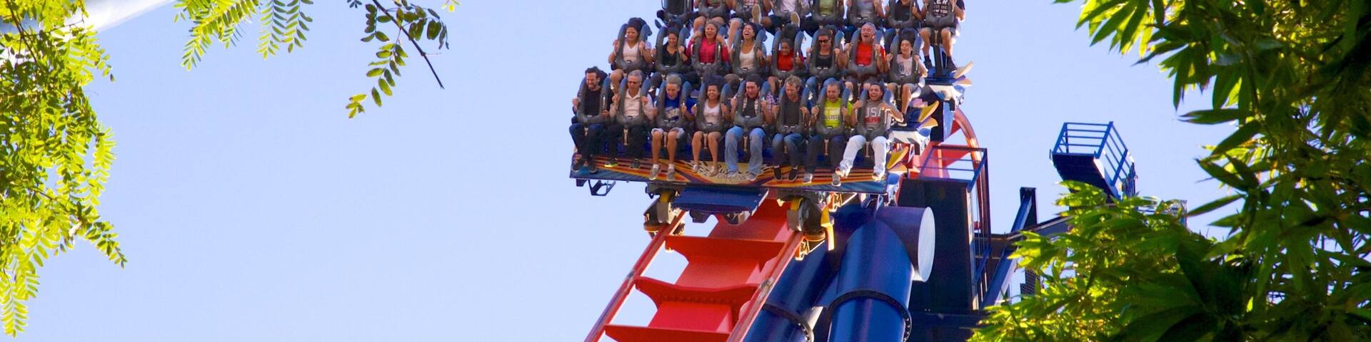 A roller coaster with passengers at the top, surrounded by trees.