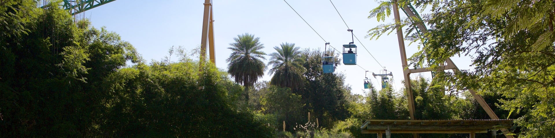 Busch Gardens Tampa Bay showing rides