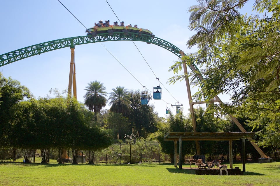 Una montaña rusa con rieles verdes, un sistema de teleférico y un pabellón en un parque.