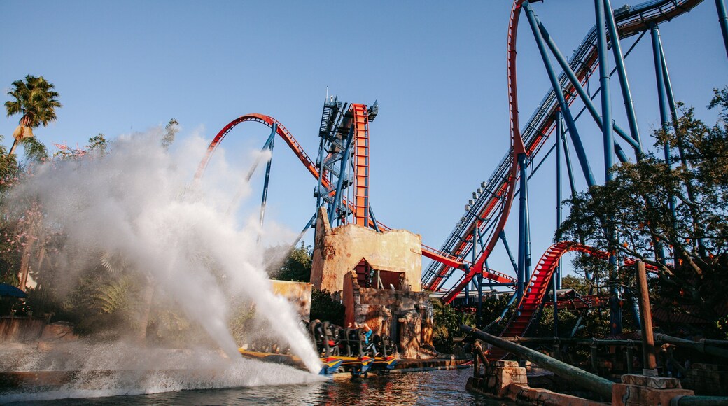 Busch Gardens Tampa Bay featuring rides