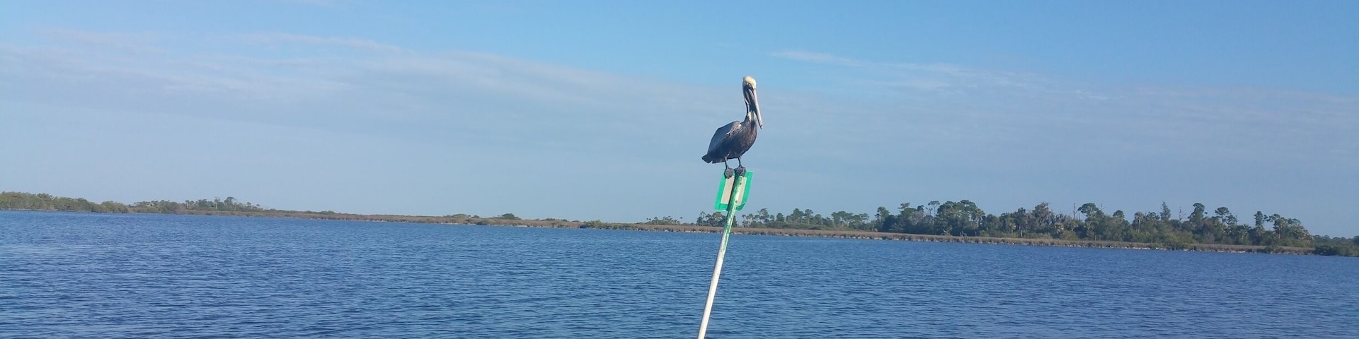 Another kind of fisherman out in the pond #wanderlust #GulfofMexico