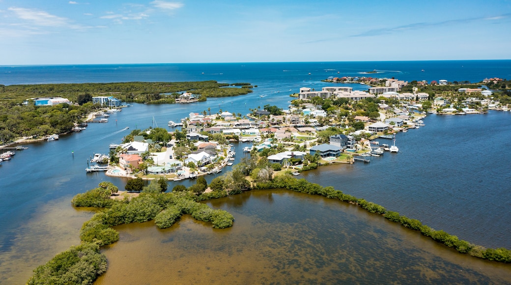 Located along the Gulf of Mexico about 35 miles northwest of Tampa, Port Richey's riverfront landscape blends nature, beaches and terrific shopping with restaurants, culture and business – all wit