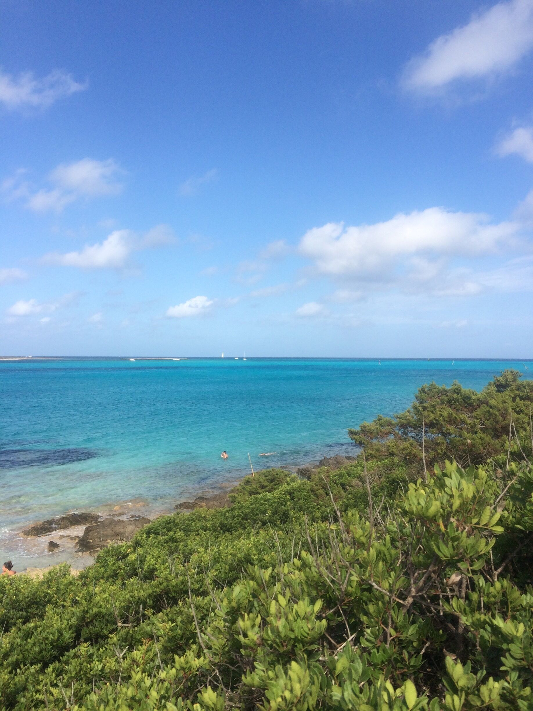 🐠 breathtaking 🐠