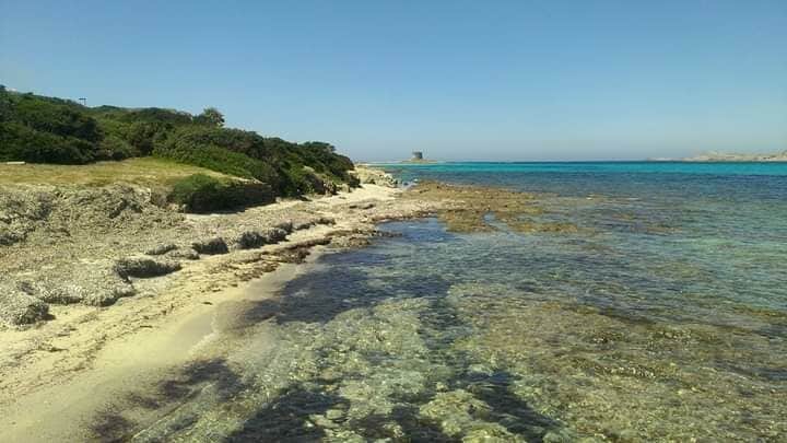 Spaggia La Pelosa beach in Stintino Sardinia 2017 #LifeAtExpedia