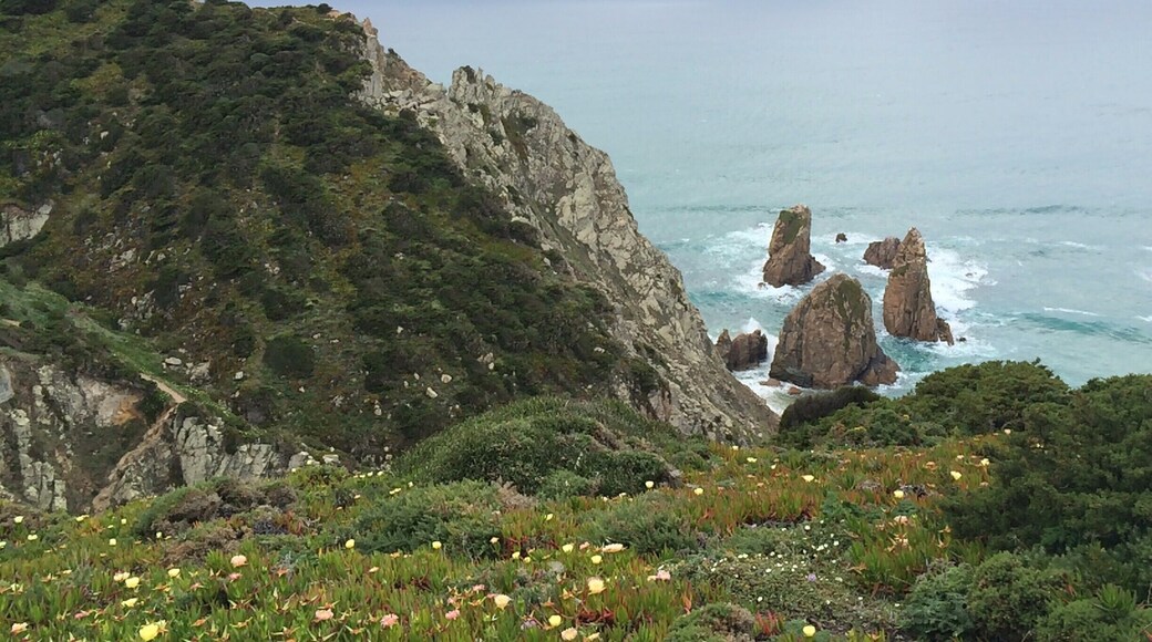 La marche jusqu'à la plage est vraiment agréable. Nous n'avons pas été capable de nous rendre jusque sur la plage, la descente est intense et il ventait énormément!