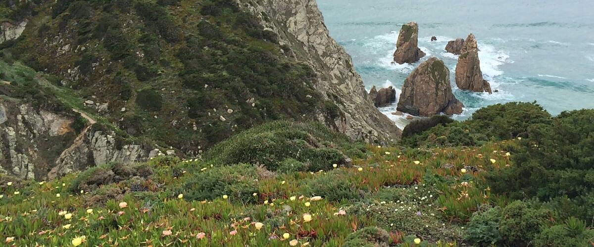 A coastal landscape with rocky cliffs and a sea view.