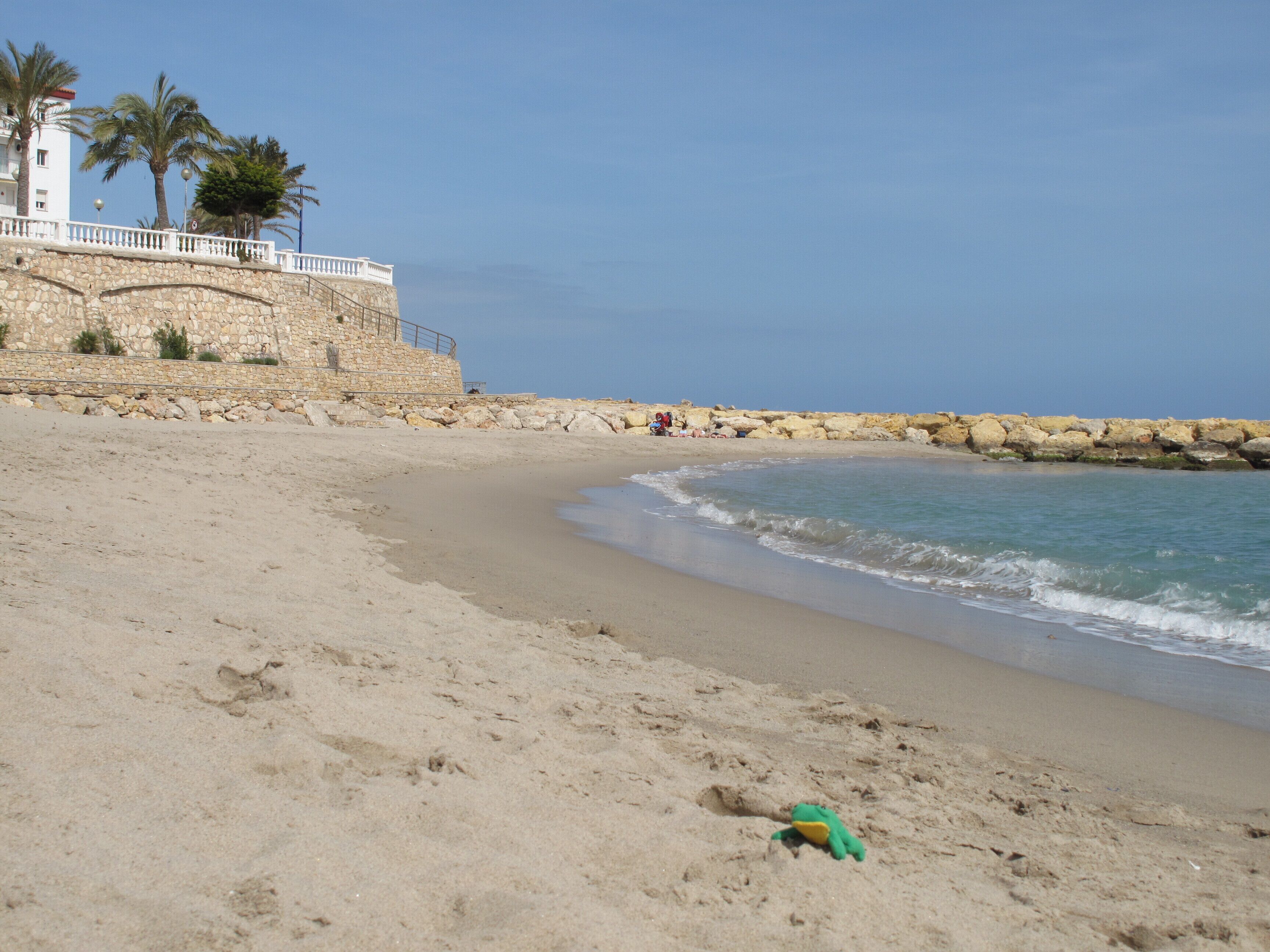 Žába lying on the beach