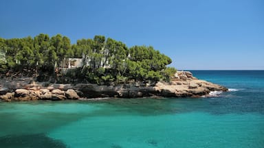 A rocky coastline with clear turquoise waters and a small building surrounded by trees.
