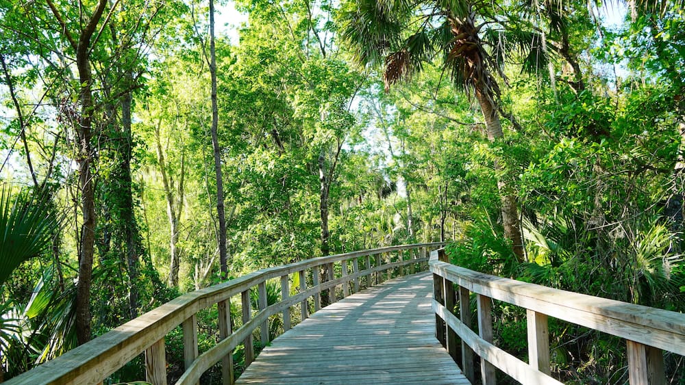 Wesley Chaple, Florida, USA, 12 10 2024: The winter foliage landscape of a beautiful community and trail at Wesley Chapel, north of Tampa in Florida