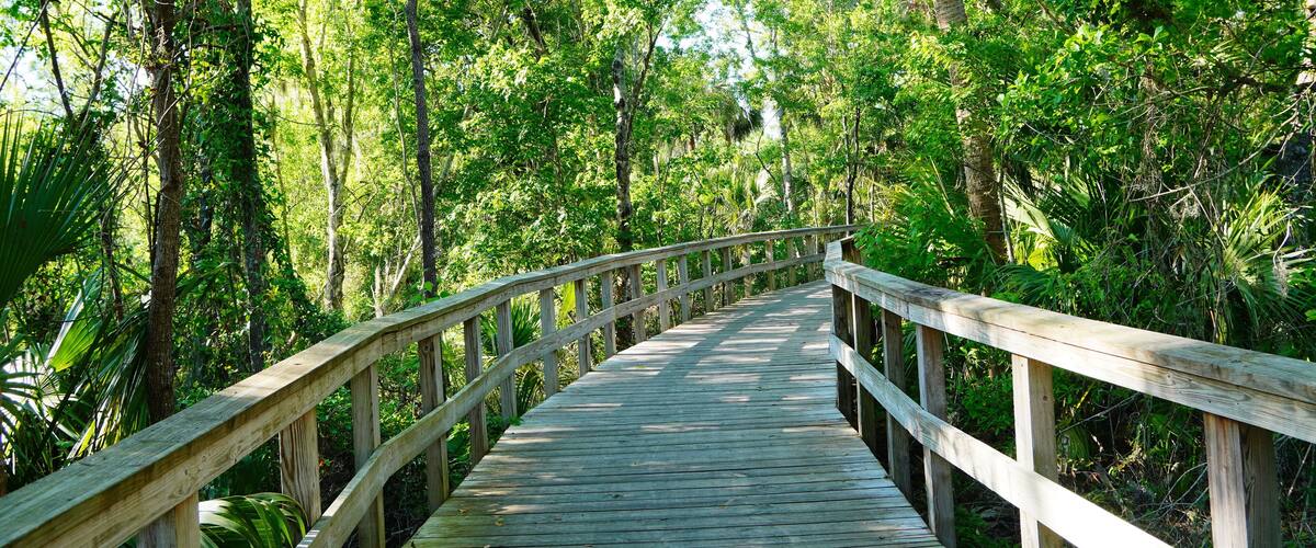 Wesley Chaple, Florida, USA, 12 10 2024: The winter foliage landscape of a beautiful community and trail at Wesley Chapel, north of Tampa in Florida