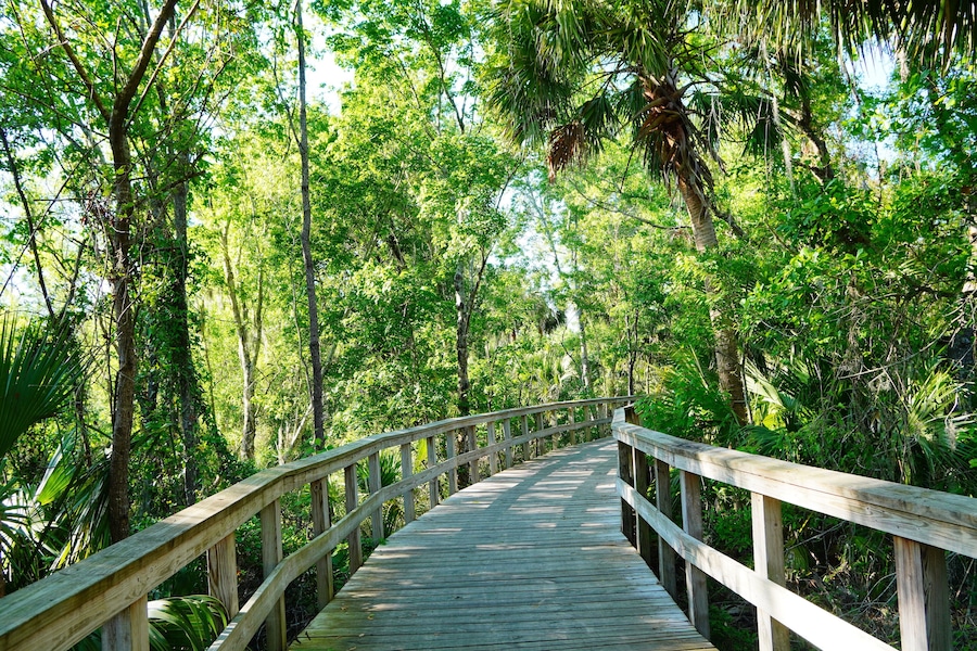 Wesley Chaple, Florida, USA, 12 10 2024: The winter foliage landscape of a beautiful community and trail at Wesley Chapel, north of Tampa in Florida