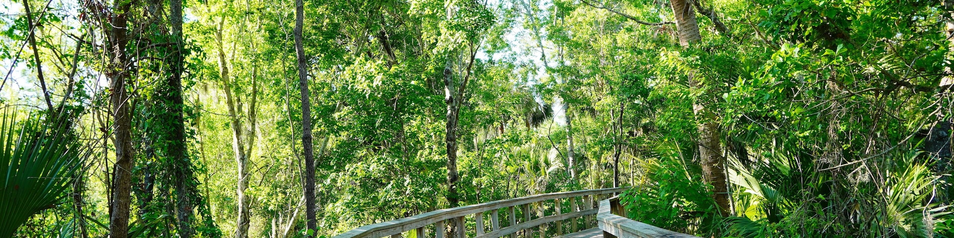 Wesley Chaple, Florida, USA, 12 10 2024: The winter foliage landscape of a beautiful community and trail at Wesley Chapel, north of Tampa in Florida