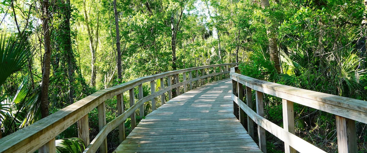 Wesley Chaple, Florida, USA, 12 10 2024: The winter foliage landscape of a beautiful community and trail at Wesley Chapel, north of Tampa in Florida