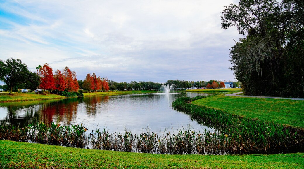 Wesley Chaple, Florida, USA, 12 10 2024: The winter foliage landscape of a beautiful community at Wesley Chapel, north of Tampa in Florida