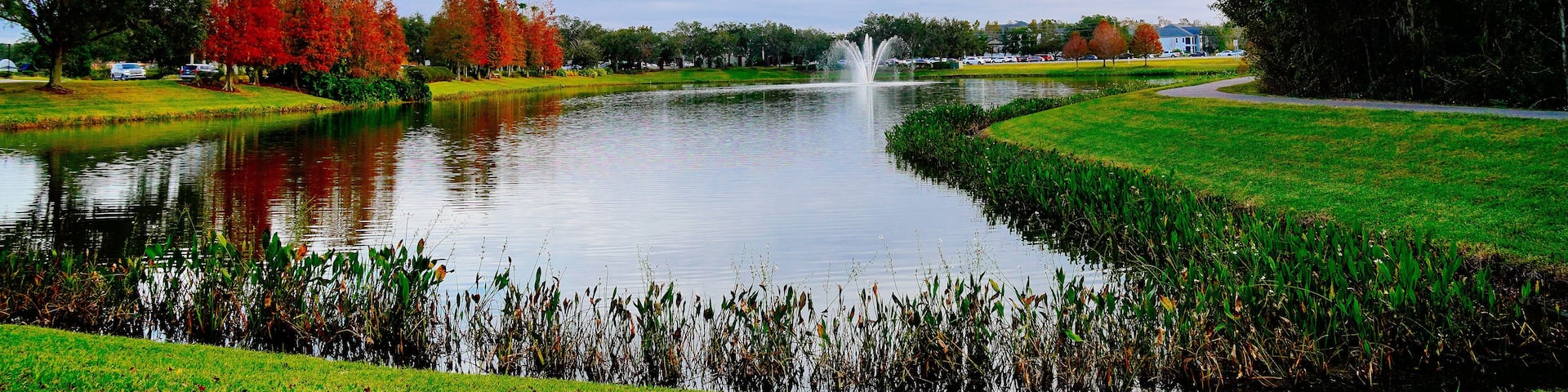 Wesley Chaple, Florida, USA, 12 10 2024: The winter foliage landscape of a beautiful community at Wesley Chapel, north of Tampa in Florida