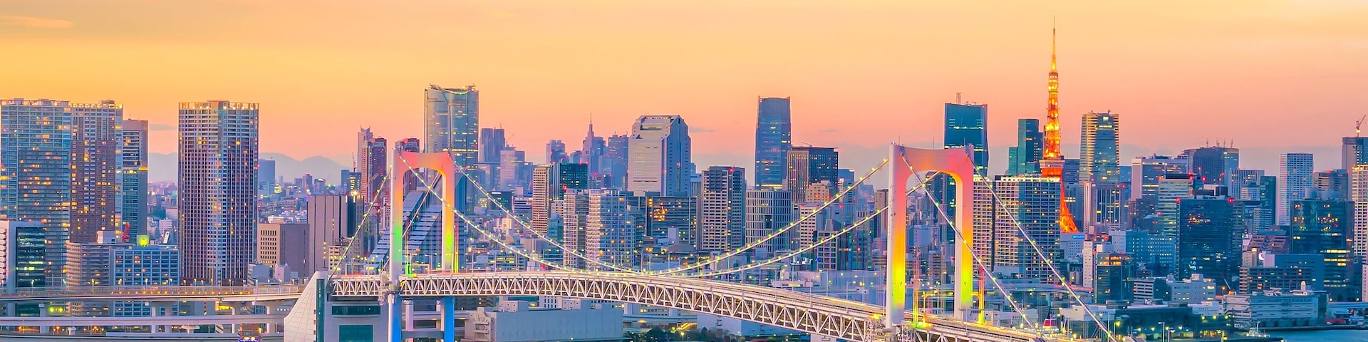 Tokyo skyline with Tokyo tower and rainbow bridge at sunset in Japan; Shutterstock ID 572057020; Purchase Order: -