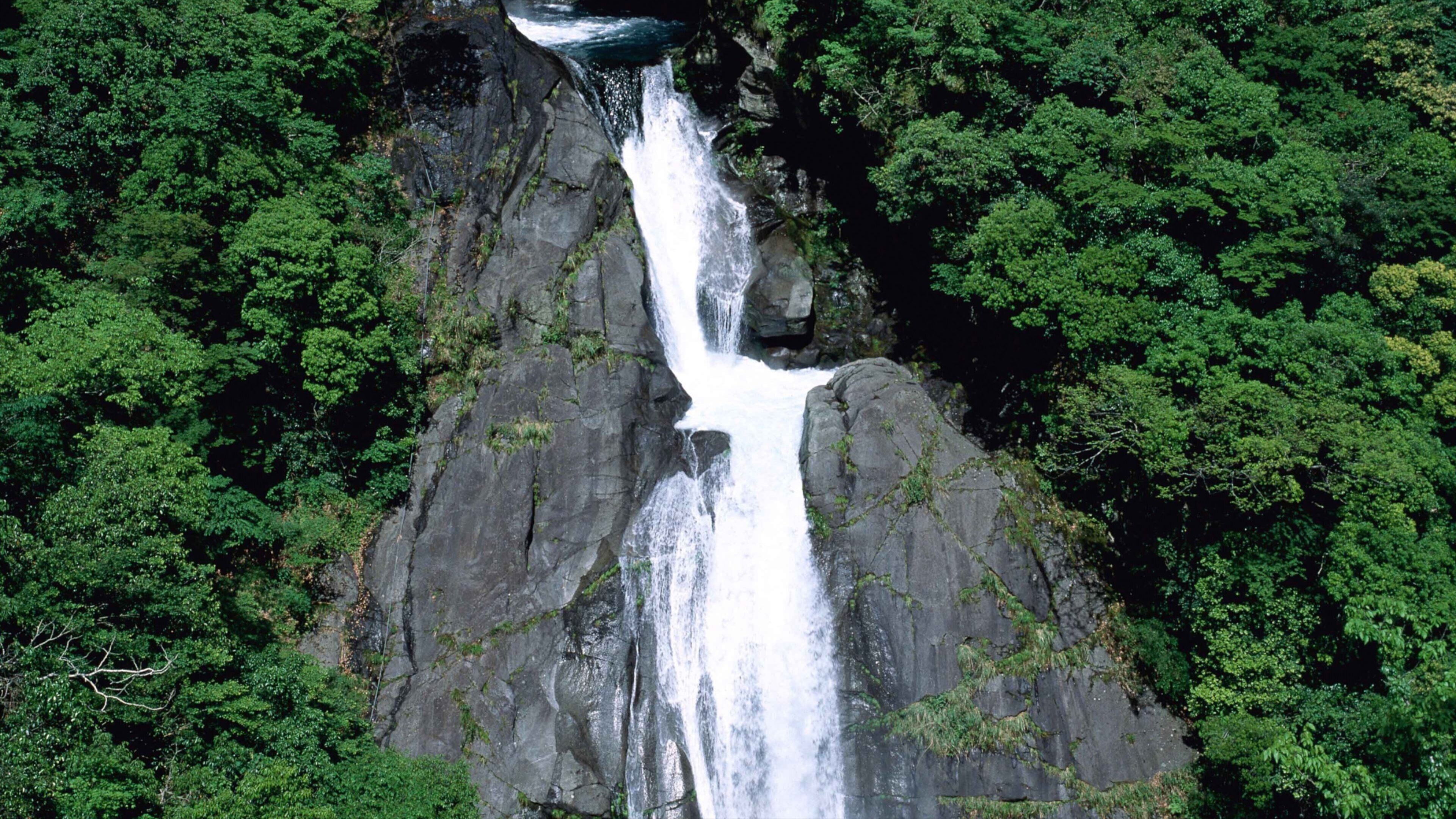 Shikoku toont bossen en een waterval