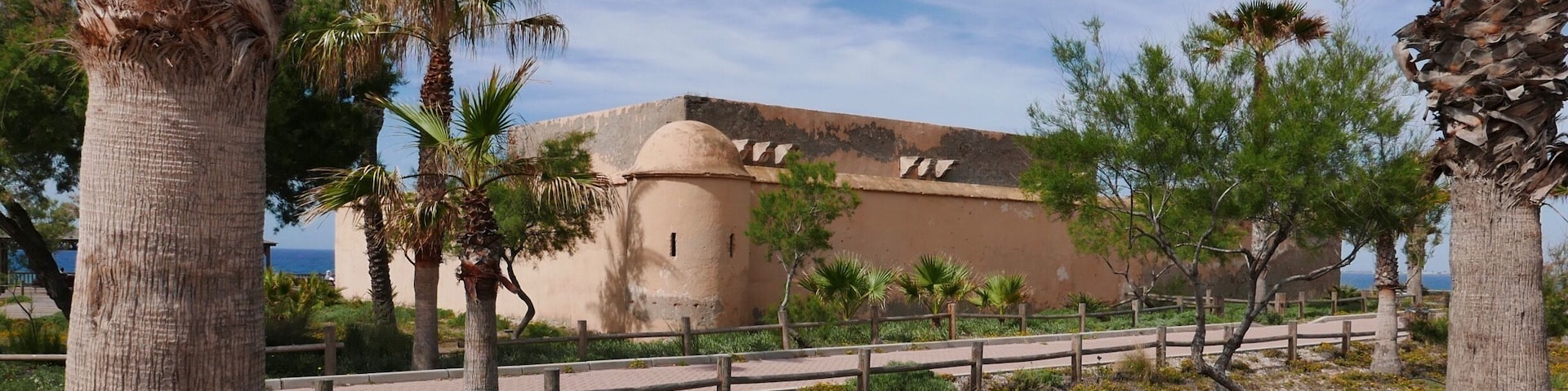 Un edificio histórico con una cúpula, rodeado de palmeras y una diversidad de flora desértica.
