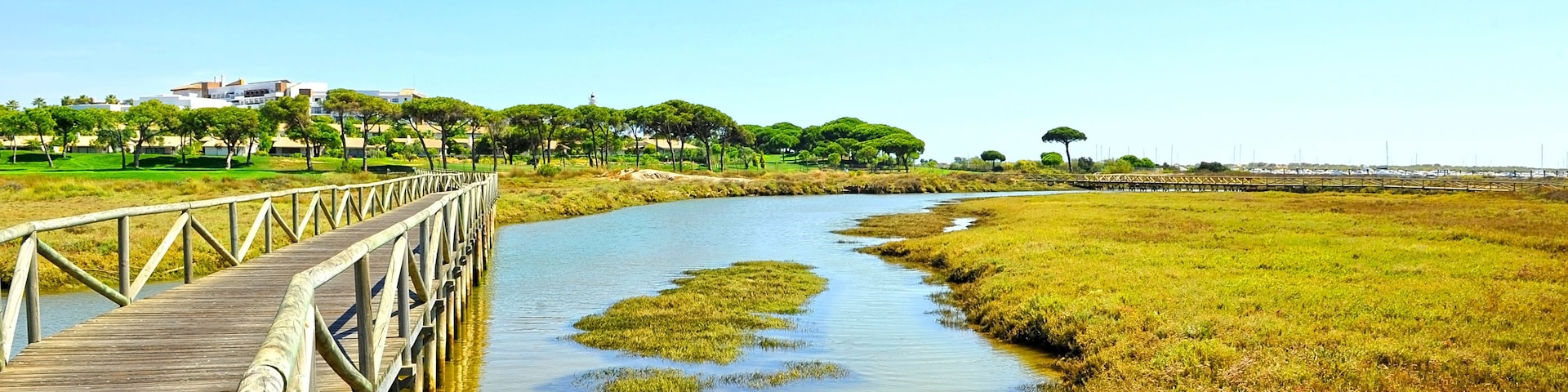 Une promenade en bois surplombe une rivière paisible, entourée de prairies verdoyantes et d’arbres.
