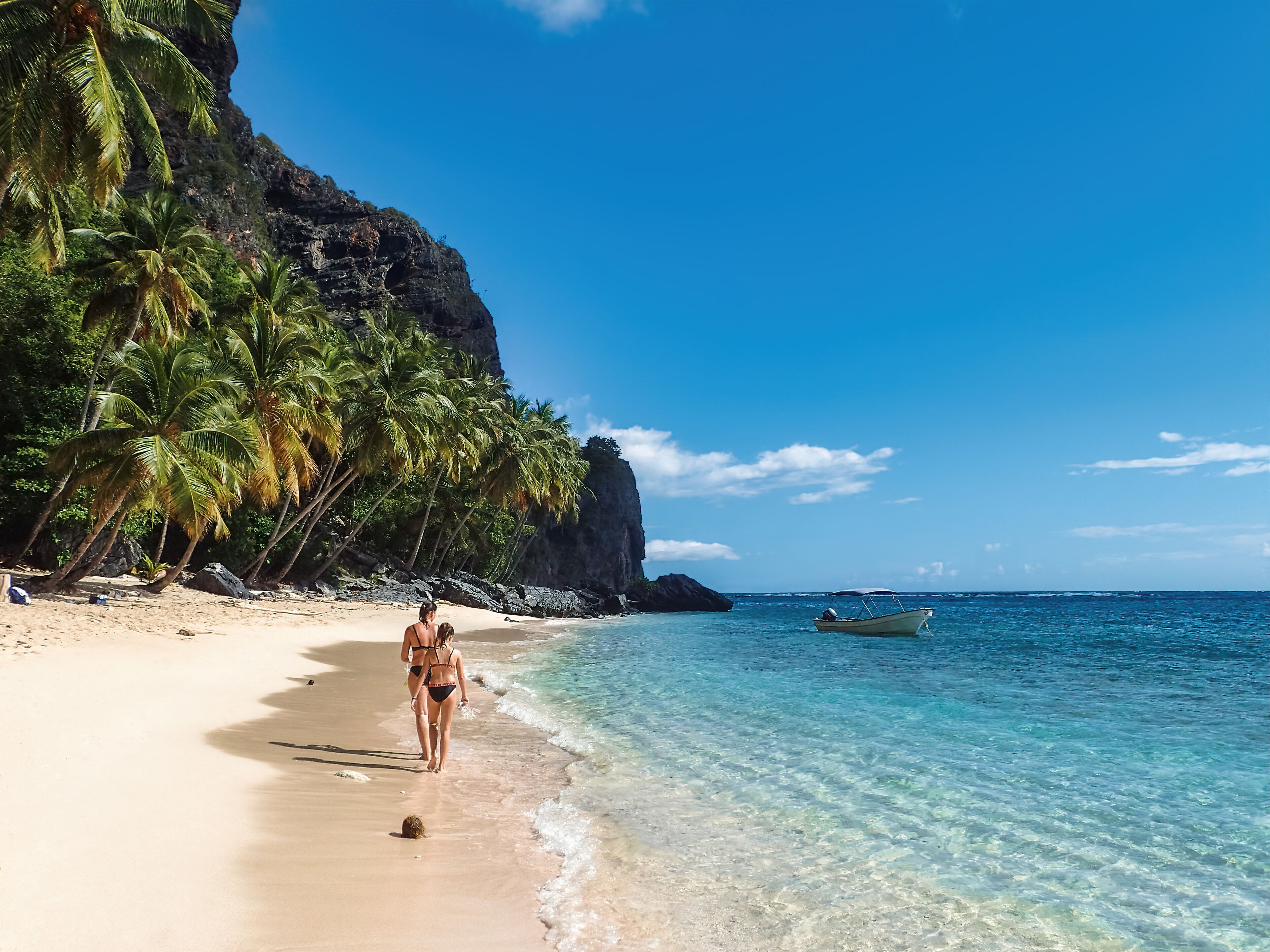 Una playa con agua turquesa cristalina, palmeras y un acantilado rocoso.
