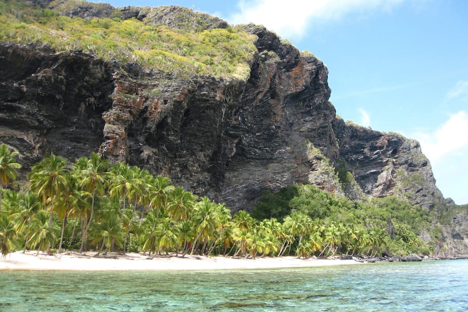 A beach with clear turquoise water, palm trees, and a rocky cliff.