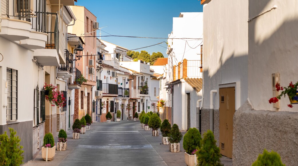 アルホーリン デ ラ トーレ