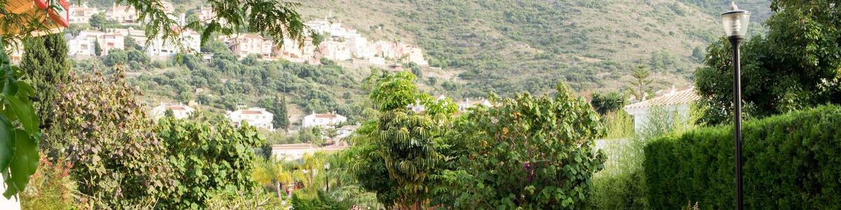 Oriental bridge in a park of Malaga