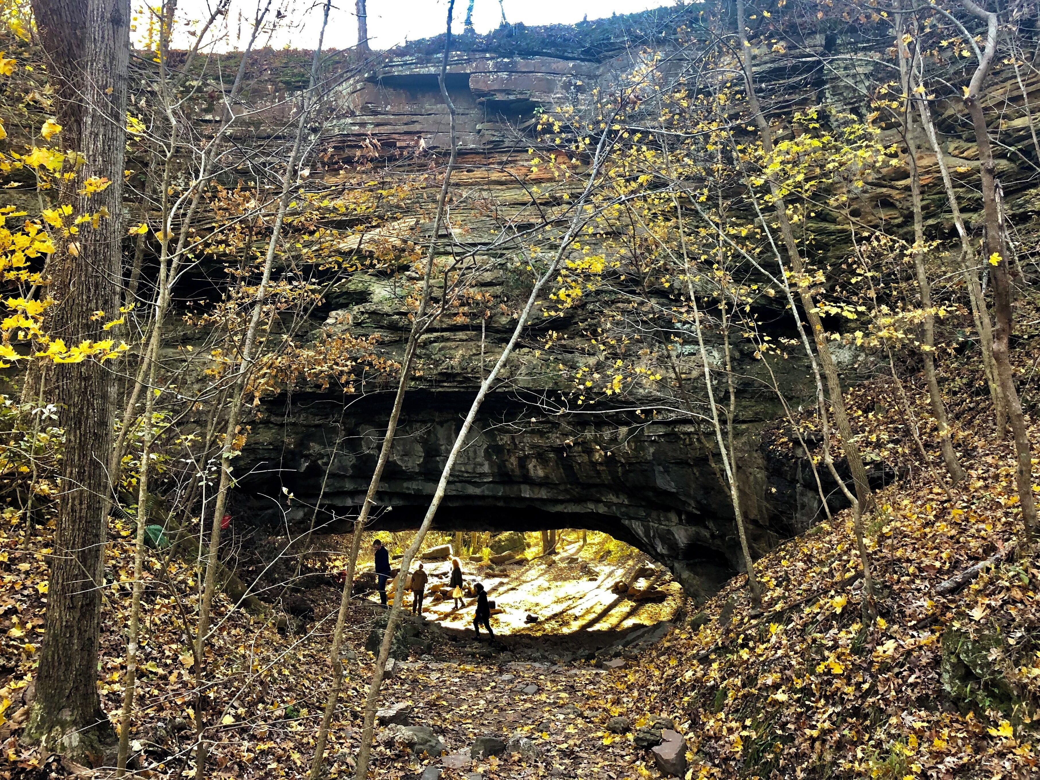 A rocky gorge with a natural archway surrounded by autumn foliage.