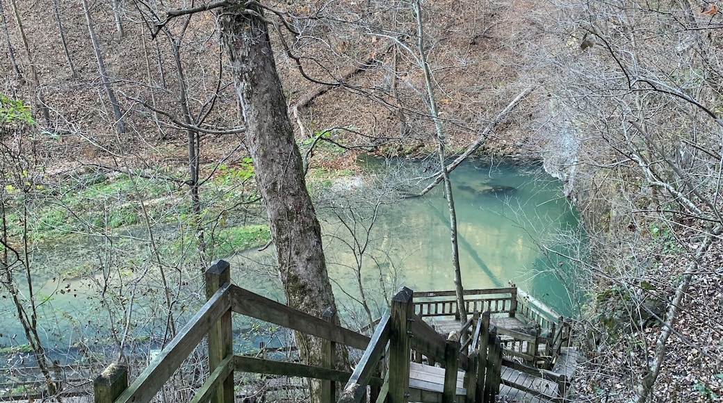 So pretty for a fall hike